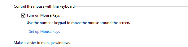 enable mouse keys control panel