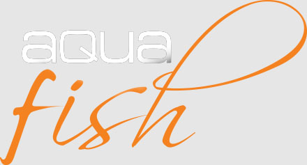 intex aqua fish logo