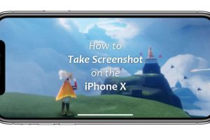 Key combination to take screenshot on iPhone X