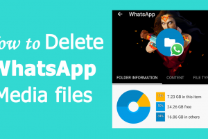 Delete WhatsApp Media