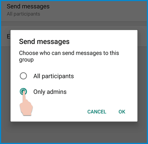 Only Admins can send messages - WhatsApp setting