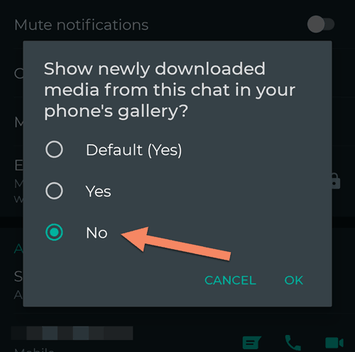 Show media in phone's gallery setting for individual chat