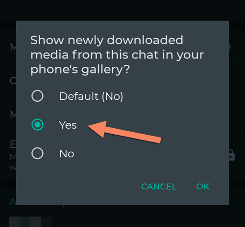 Show media in phone's gallery setting for individual chat
