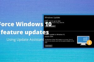Force Windows 10 feature updates