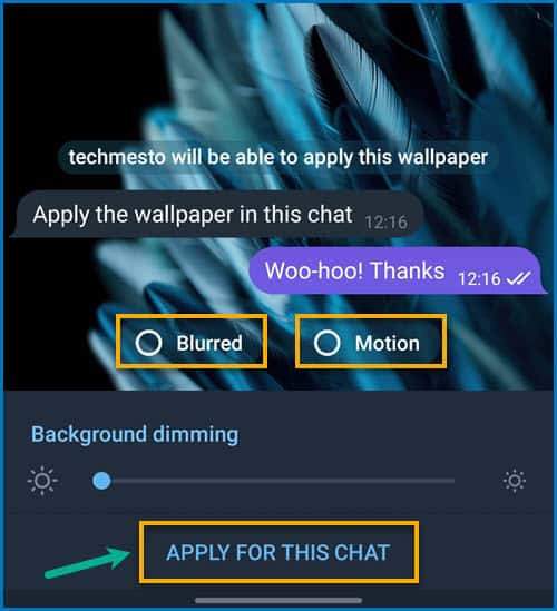 Apply for this chat option to apply custom image wallpaper to Telegram chat